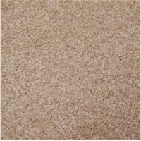 Magnifico savanne 0455